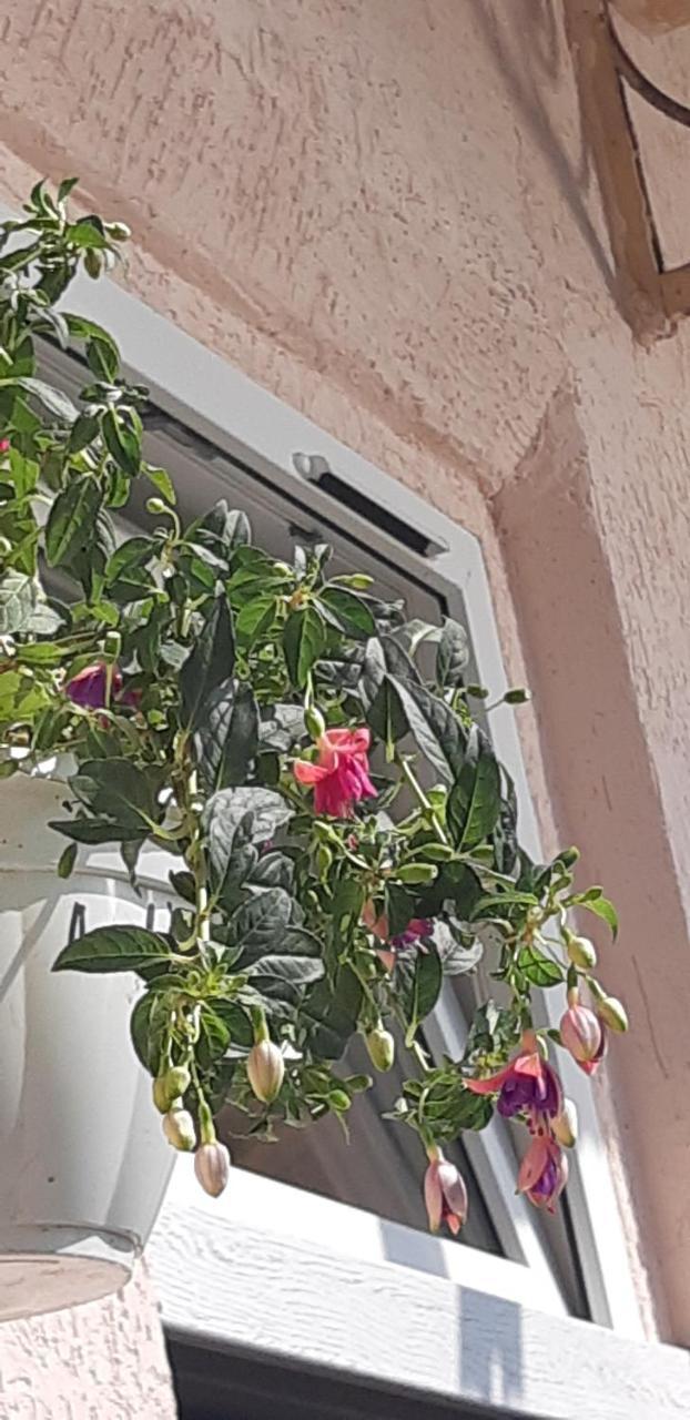 Transfer Apartment Львов Экстерьер фото